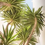 Melian Boutique Hotel&spa Hotel