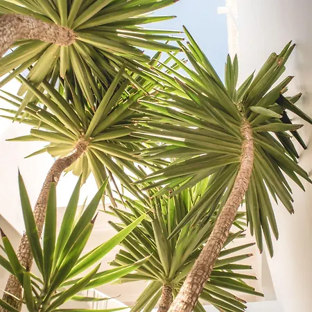 Melian Boutique & Отель