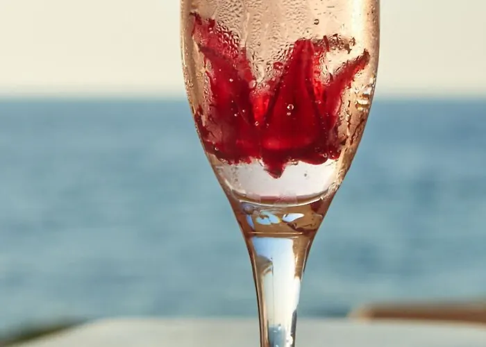 ホテル Melian Boutique & 4*