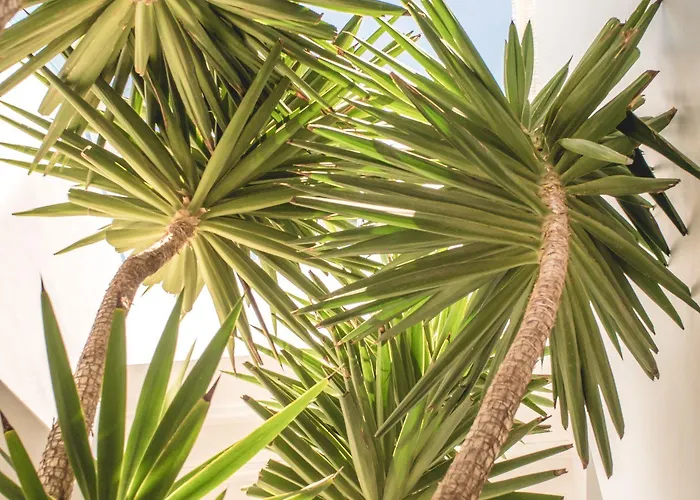 Melian Boutique & Hotel